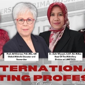 Visiting Profesor